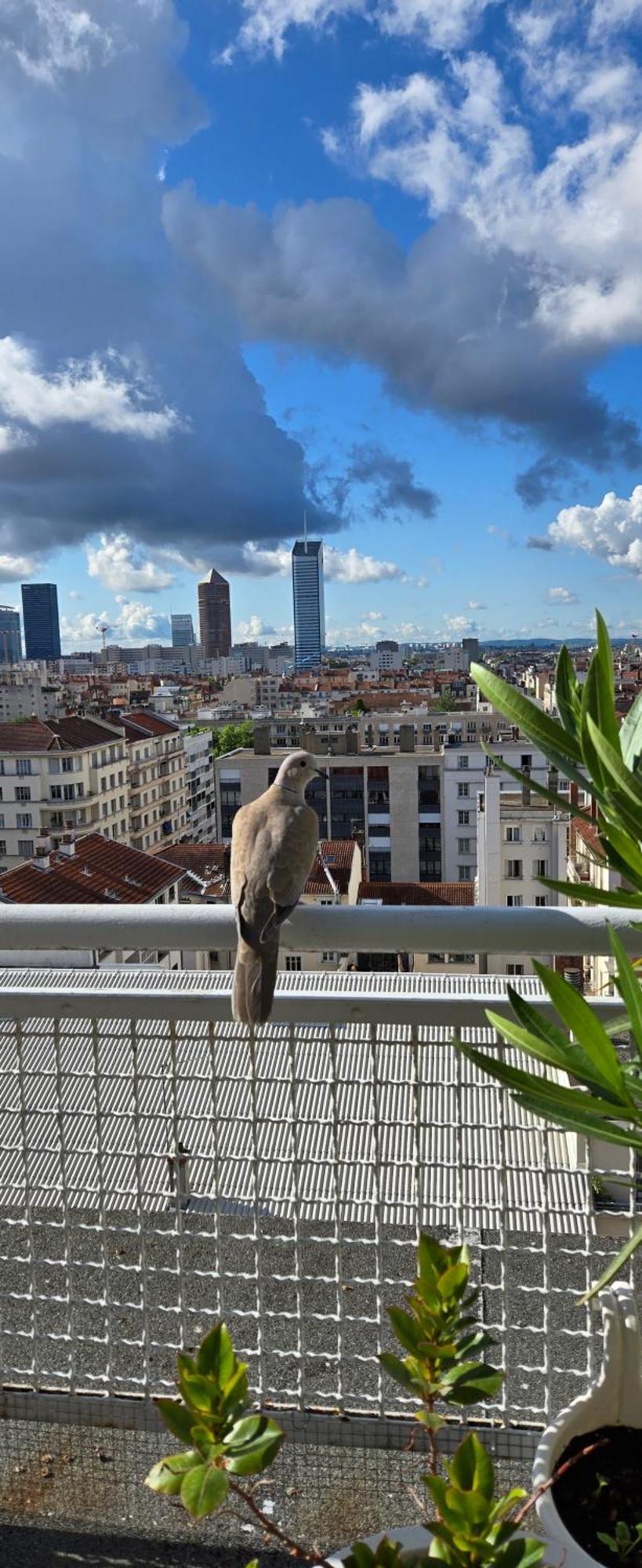 דירות ליון Plein Sud Terrasse Climatisation Garage Netflix מראה חיצוני תמונה